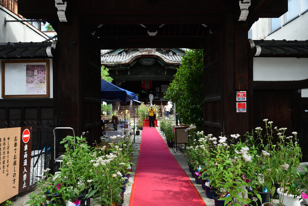 2501013c革堂行願寺07