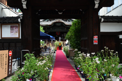 2501013c革堂行願寺07