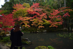 201113南禅寺43天授庵