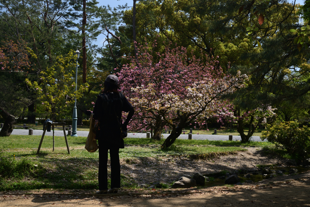 220412a京都御苑12