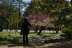 220412a京都御苑12