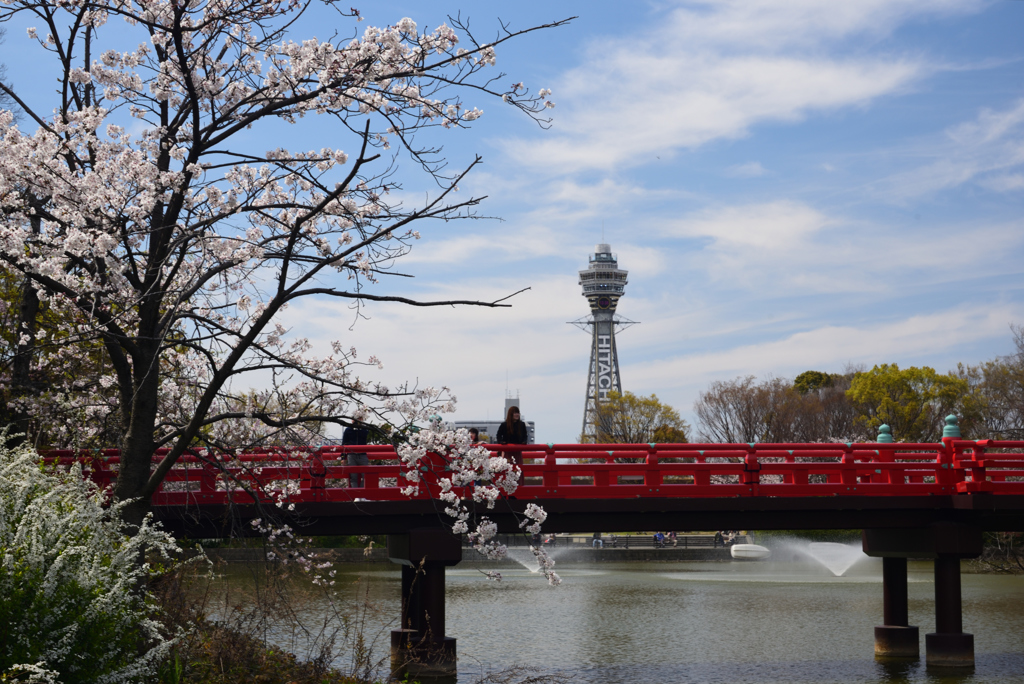 190405a天王寺公園31