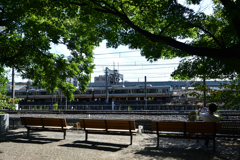 241006梅小路公園01