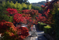 221112b満願寺20