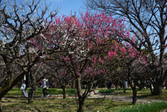 210220万博公園08