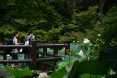 240823京都植物園33