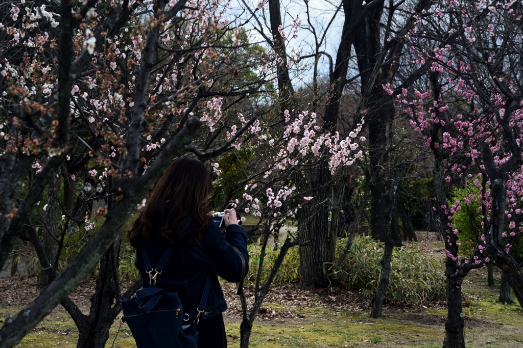 180318c梅小路公園04+