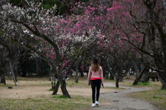 240218a京都御苑46