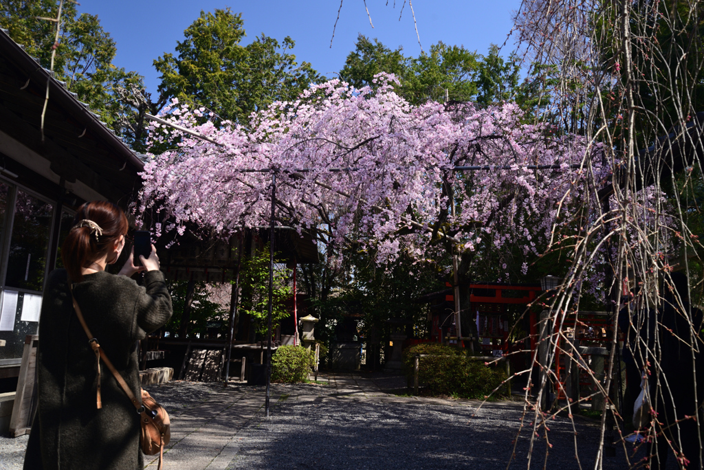 230322b水火天満宮02