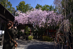 230322b水火天満宮02