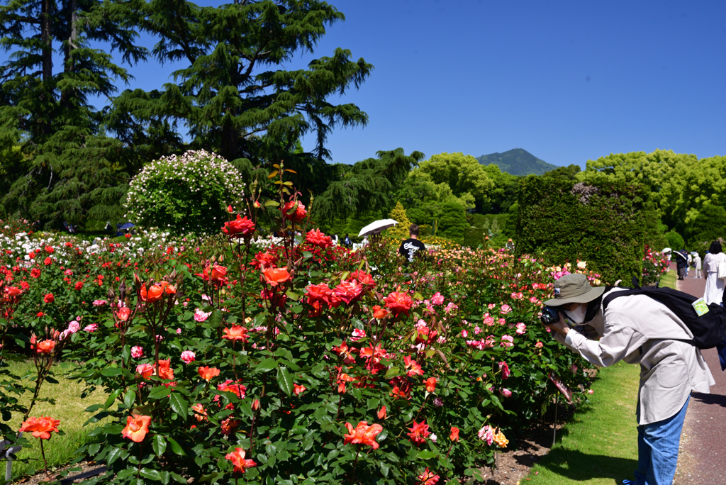 230509京都植物園48