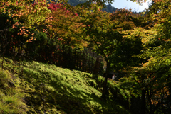 221104a大原11