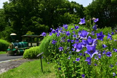 230702万博公園67