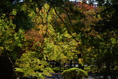 191102a南禅寺10