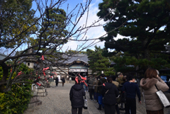 250103a御香宮神社05