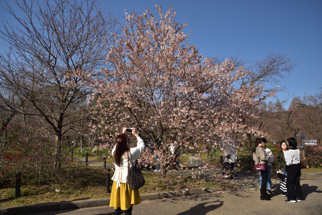 200321京都植物園50