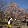 200321京都植物園50