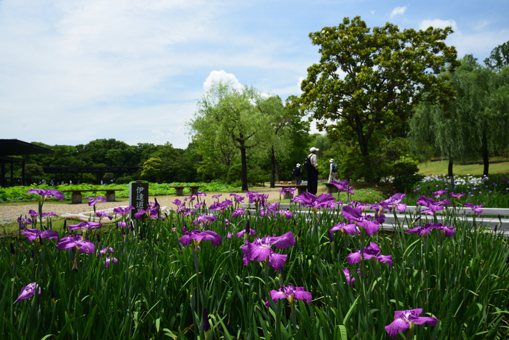 200615万博公園12