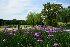 200615万博公園12