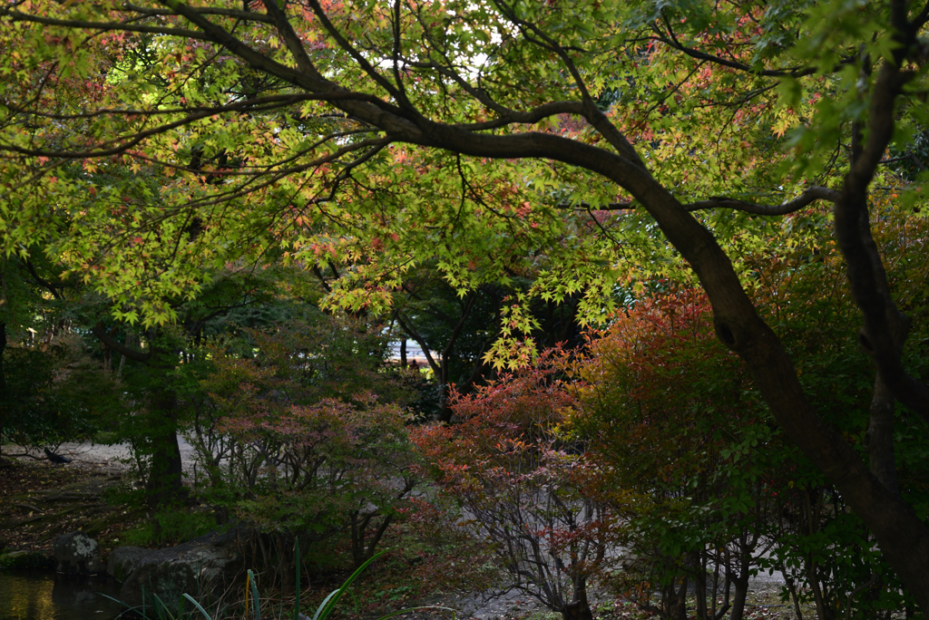 211111c梅小路公園08