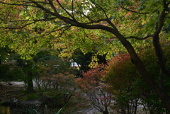 211111c梅小路公園08