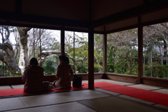 200218b宝泉院48