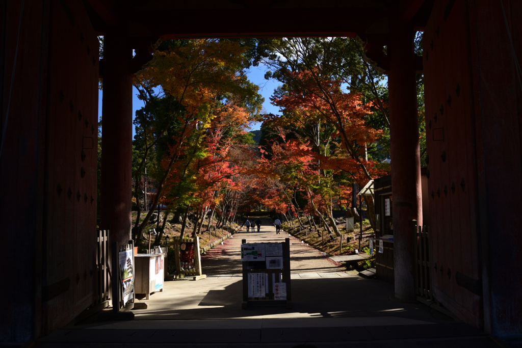 211202a醍醐寺07