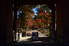 211202a醍醐寺07