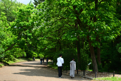 250601京都植物園37