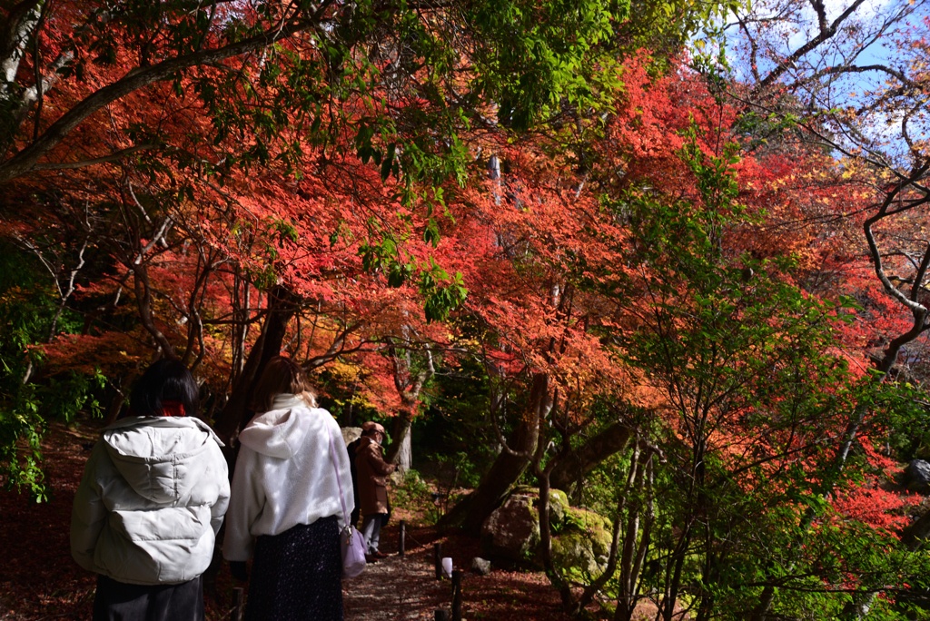 211202a醍醐寺43