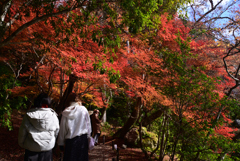 211202a醍醐寺43