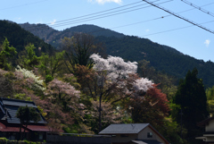 210407b大原05