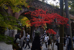 211120d南禅寺31