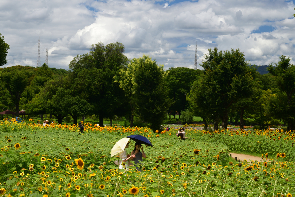 220729万博公園63