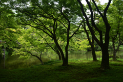 220823京都植物園27