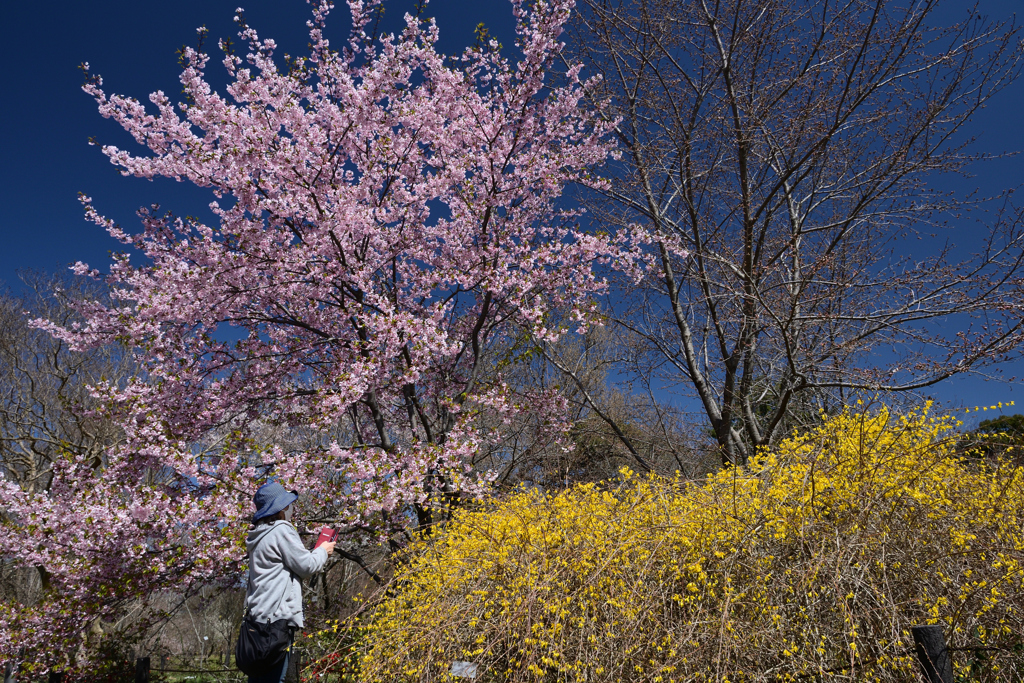 230320a京都植物園25