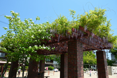 250426a竹間公園01