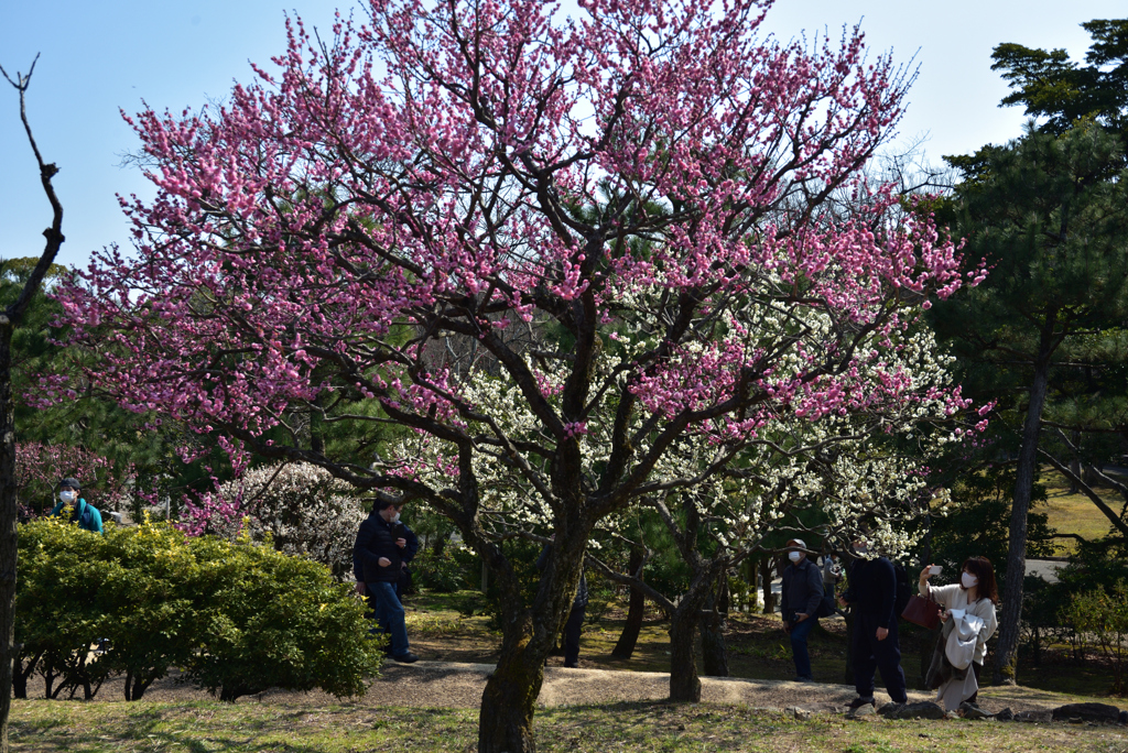 210220万博公園54