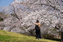 190404馬見丘陵公園19