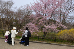 220325b京都植物園30