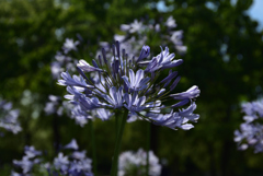 200702鶴見緑地60