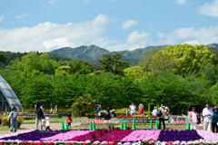 250504京都植物園88
