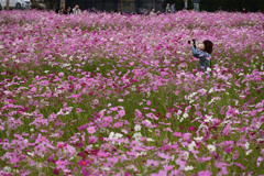 211018a藤原宮跡59