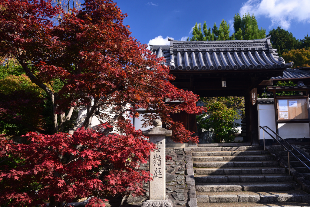 241121j光明院36
