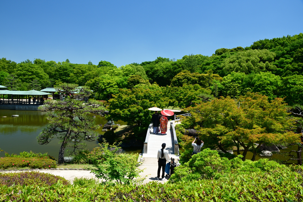 250605b大仙公園33
