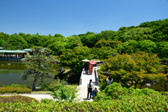 250605b大仙公園33