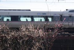 200309h梅小路公園59