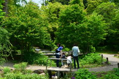 250601京都植物園36