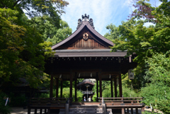 240924a梨木神社19