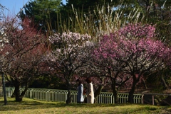 180302長居植物園37